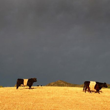Peppertree Farm Mudgee Exterior foto