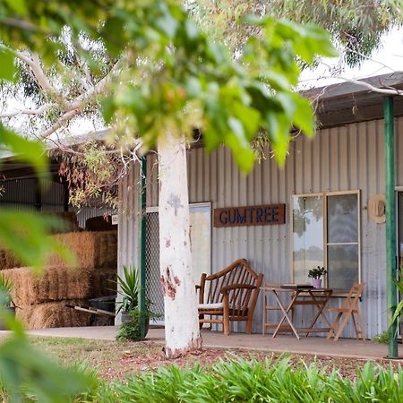Peppertree Farm Mudgee Exterior foto