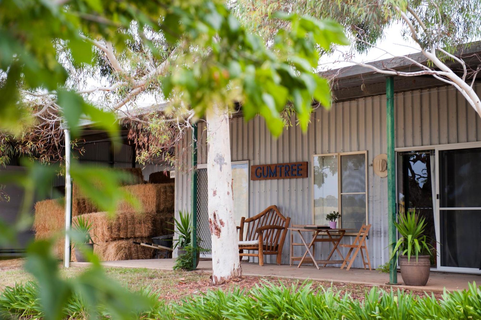 Peppertree Farm Mudgee Exterior foto