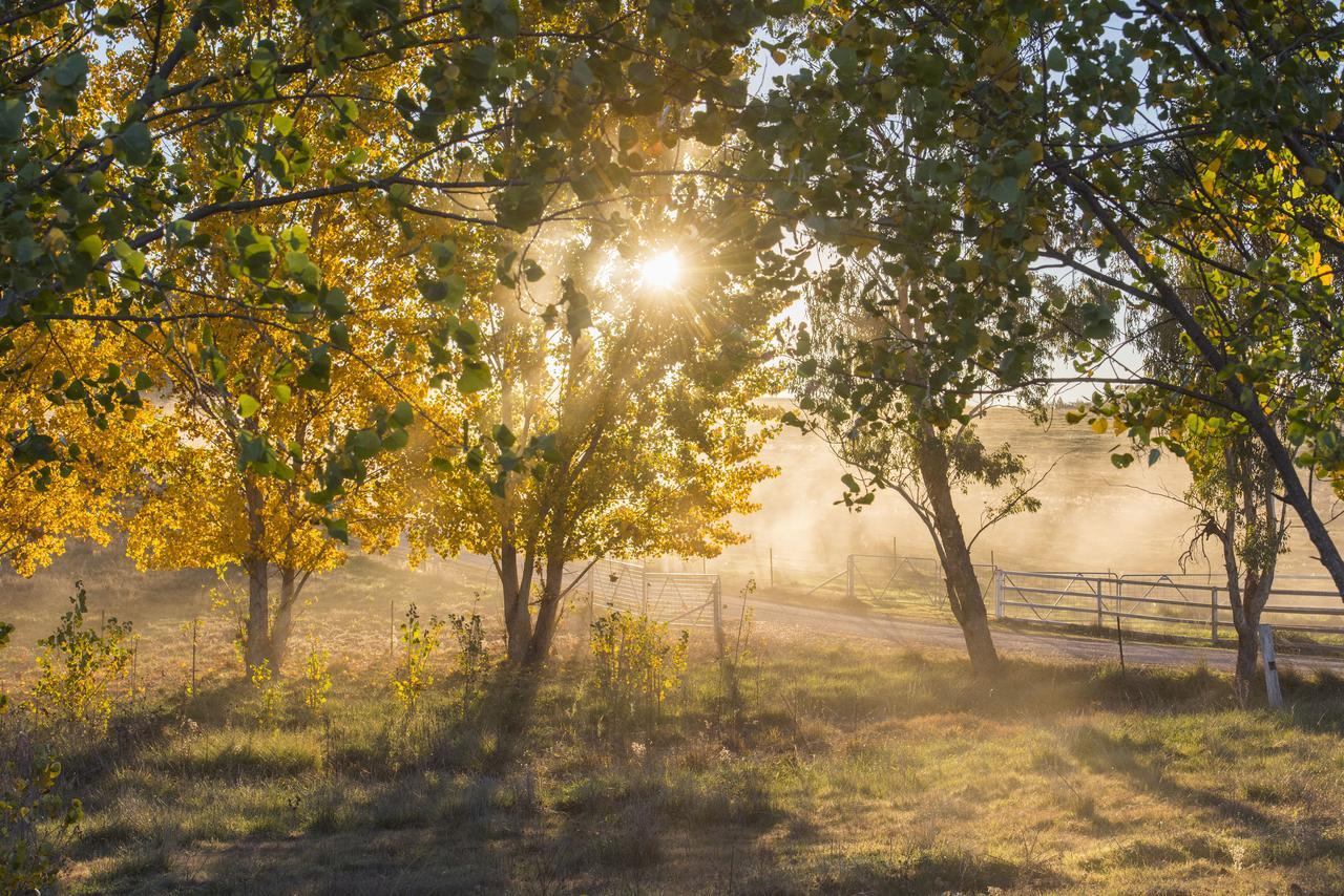 Peppertree Farm Mudgee Exterior foto
